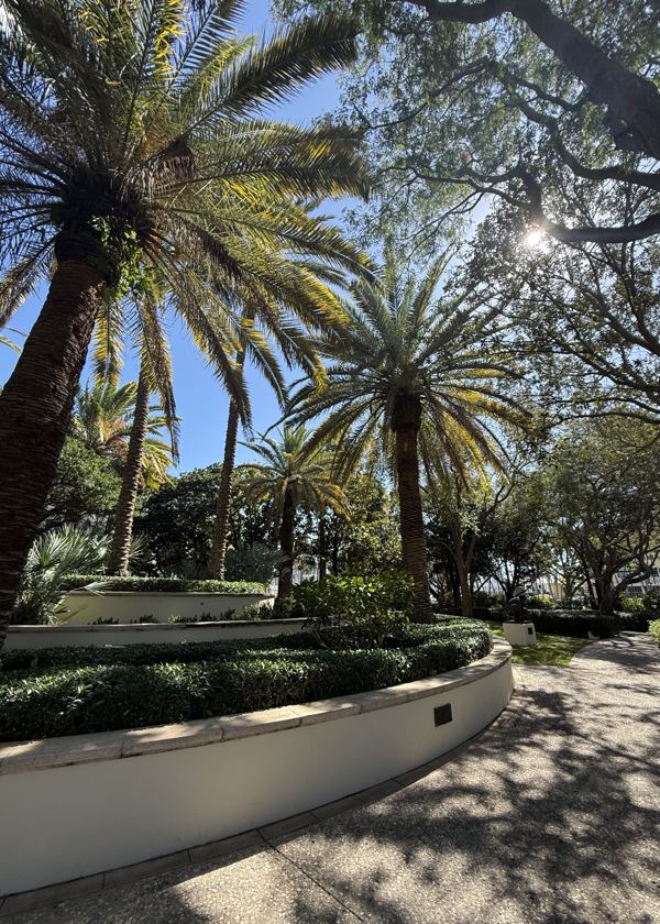 Royal palms and a curved stucco garden wall along a Palm Beach street